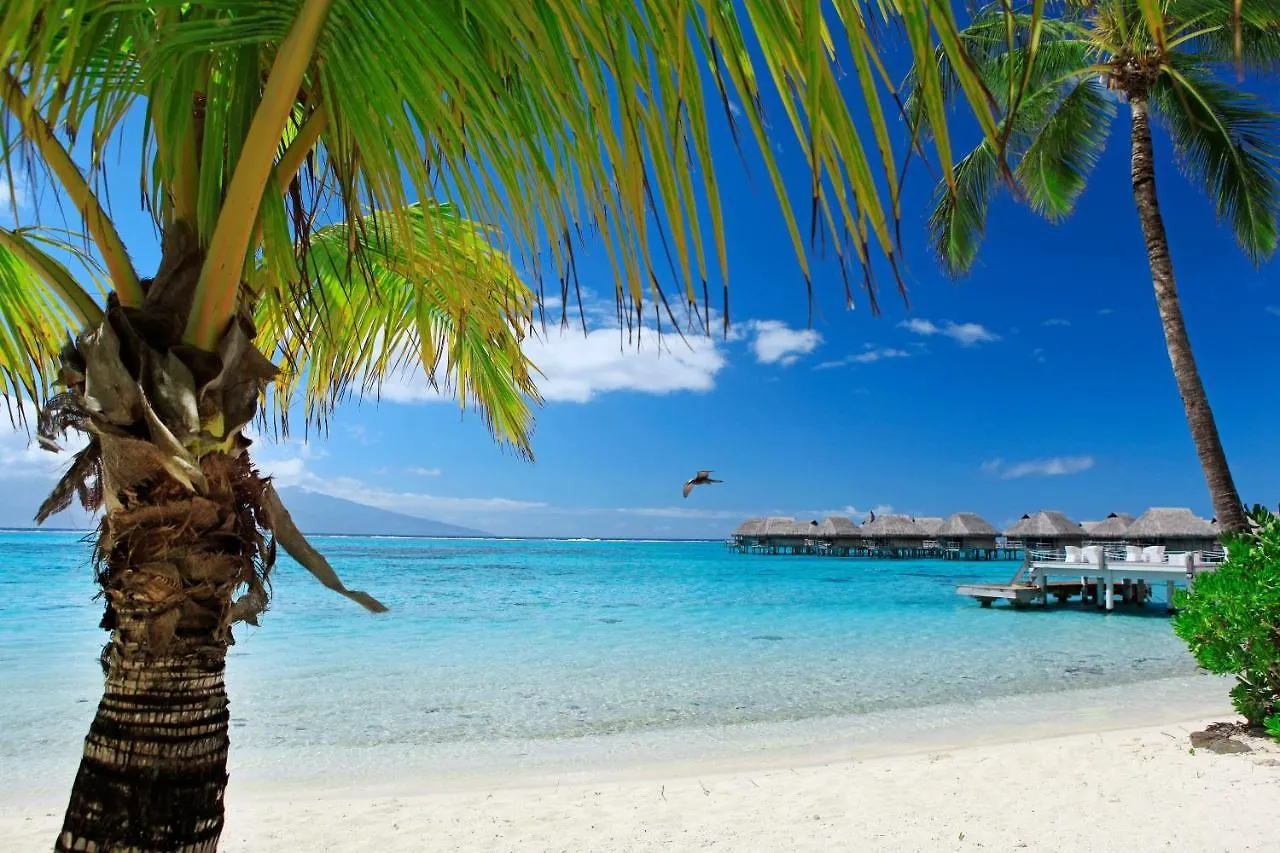 Sofitel Kia Ora Moorea Beach Resort Maharepa  5*, Maharepa (Moorea)