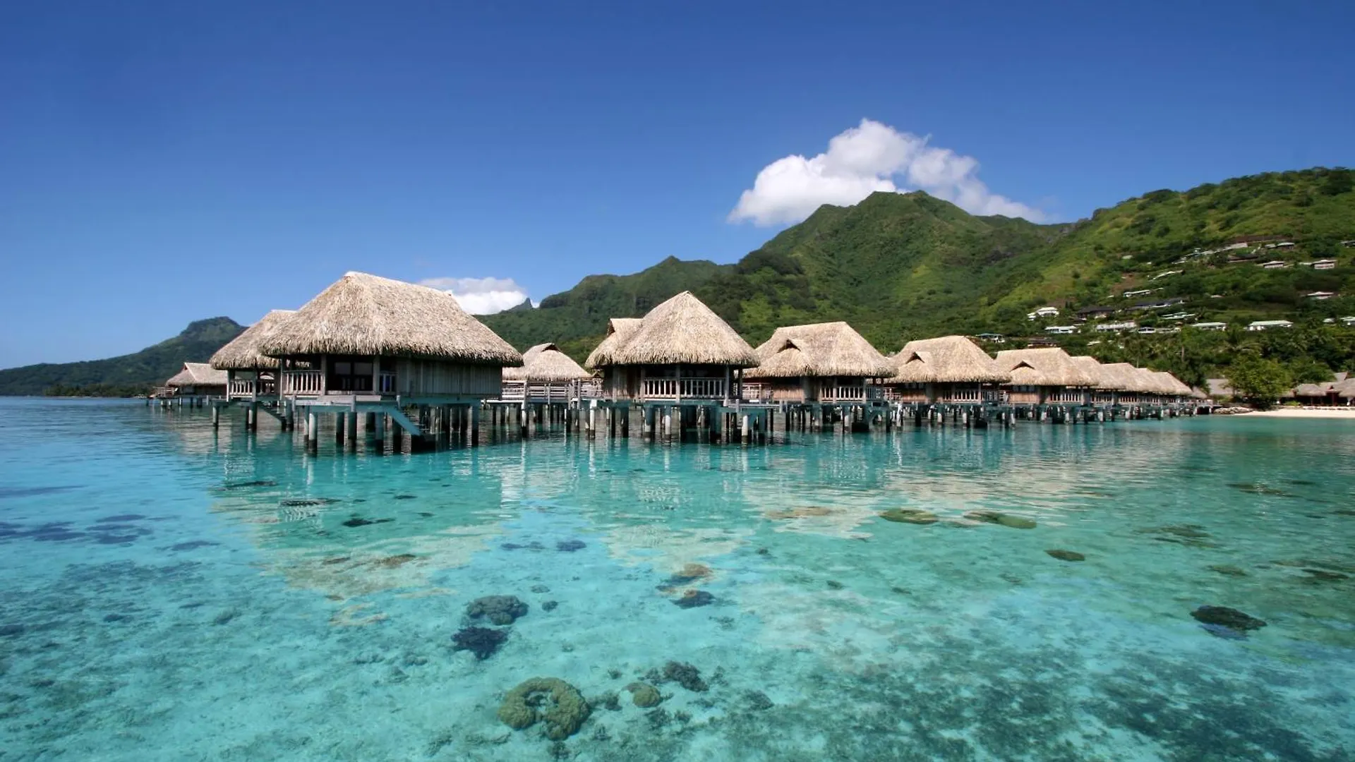Hotel Sofitel Kia Ora Moorea Beach Resort Maharepa